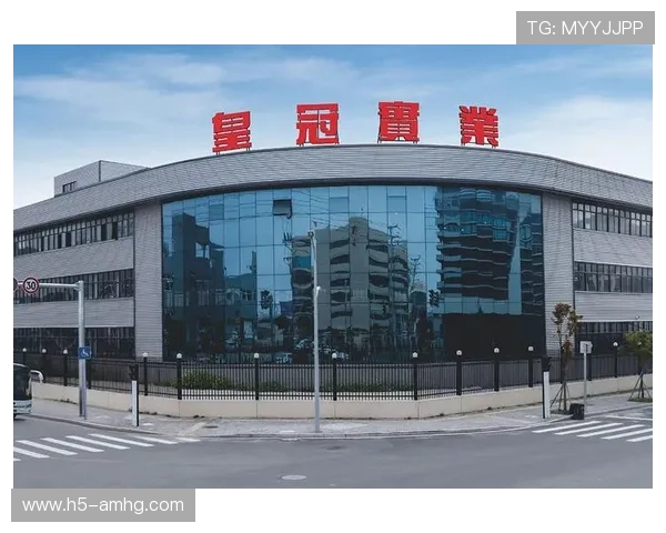 皇冠有限公司：打造高端品牌的成功之路与未来发展战略